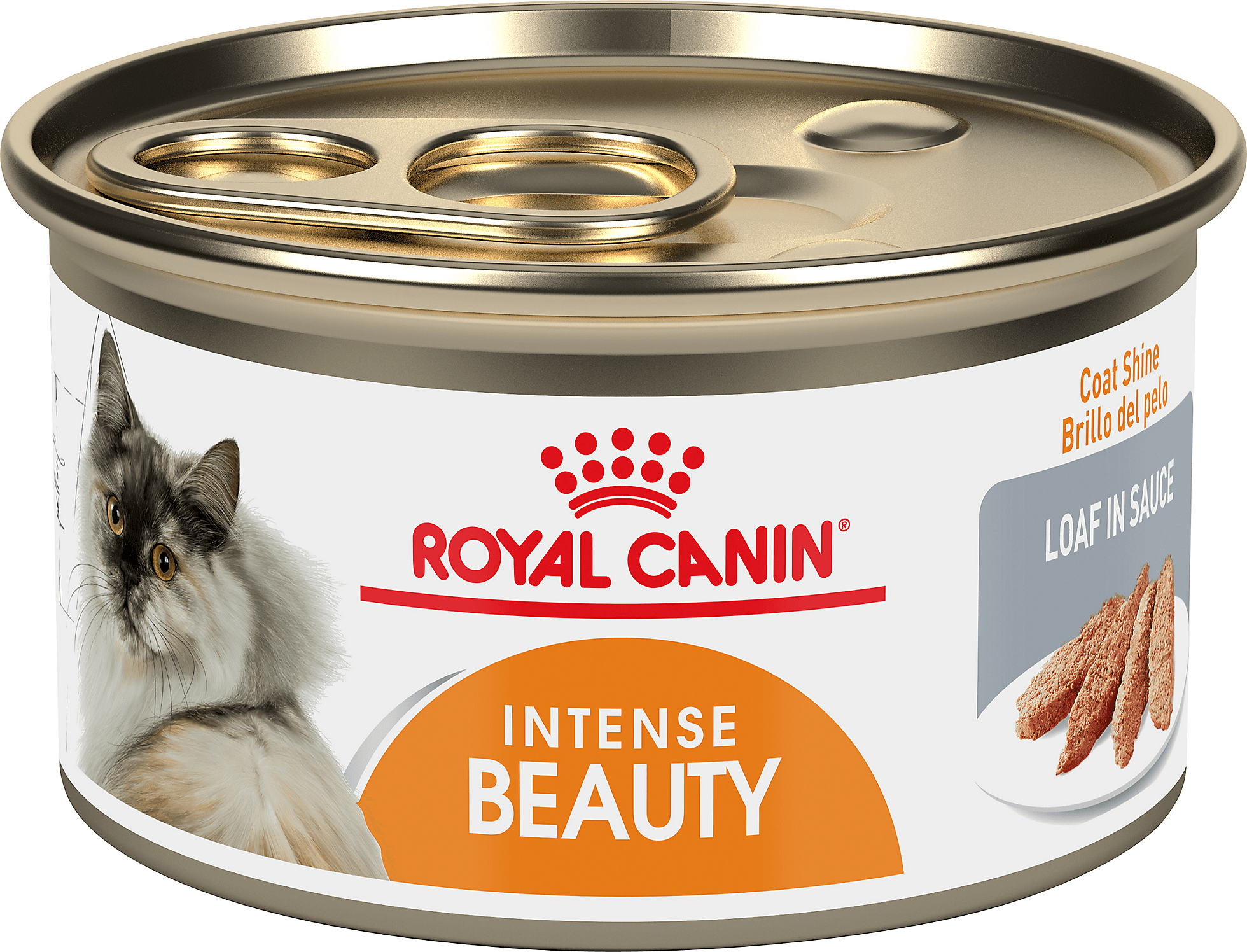 Royal Canin Cat Food Reviews